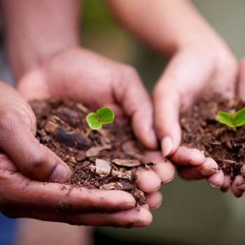 Inspiring Food and Fibre Futures in Schools
